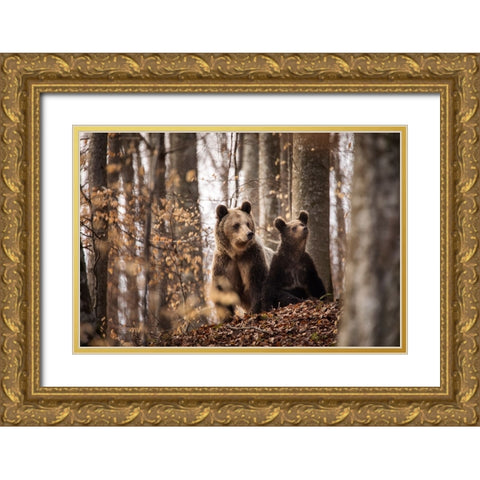 Mother And Son Gold Ornate Wood Framed Art Print with Double Matting by Mirica, Dan