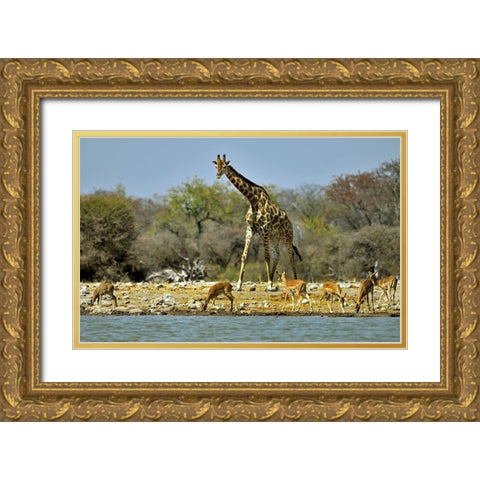 Different Sizes Gold Ornate Wood Framed Art Print with Double Matting by Damico, Giuseppe