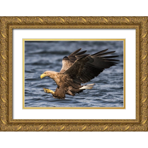 Claws Gold Ornate Wood Framed Art Print with Double Matting by Wrobel, Piotr