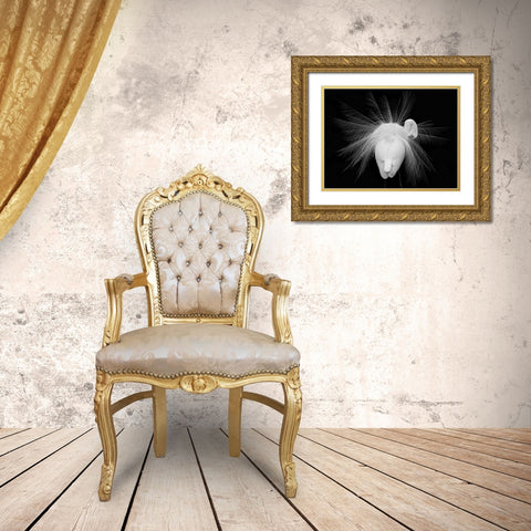 Untitled Gold Ornate Wood Framed Art Print with Double Matting by Fengying Long