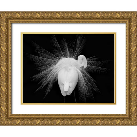 Untitled Gold Ornate Wood Framed Art Print with Double Matting by Fengying Long