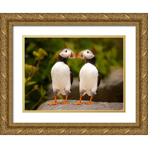 Hello Gold Ornate Wood Framed Art Print with Double Matting by Dan, Kai