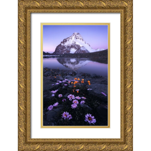 GodS Backyard Gold Ornate Wood Framed Art Print with Double Matting by Hao, Damon