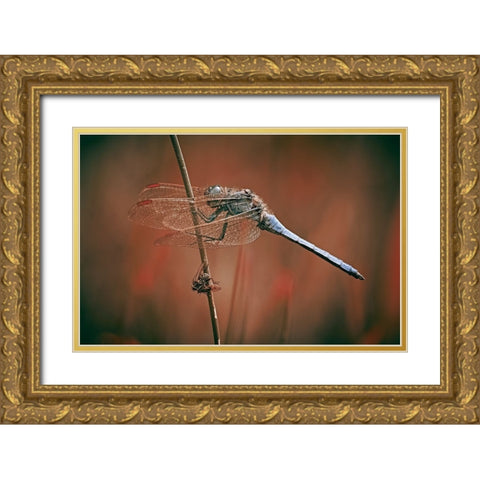 The Battlefield Gold Ornate Wood Framed Art Print with Double Matting by Williams, Stuart