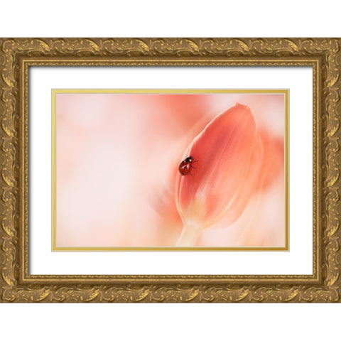 Simplicity Gold Ornate Wood Framed Art Print with Double Matting by Van Deelen, Ellen