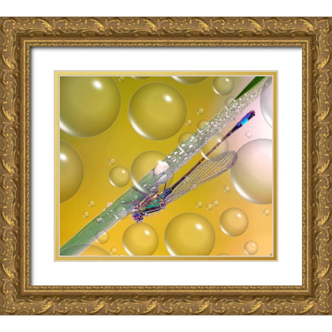 Anti-Heat Wave Dew... Gold Ornate Wood Framed Art Print with Double Matting by Dufour, Thierry