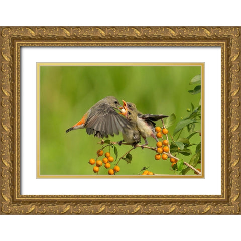 MotherS Love Gold Ornate Wood Framed Art Print with Double Matting by Muliani Hartojo, Angela