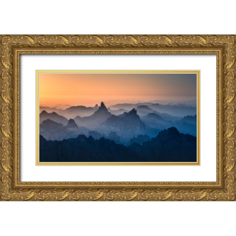 Suspended Animation Gold Ornate Wood Framed Art Print with Double Matting by Wei, Willa