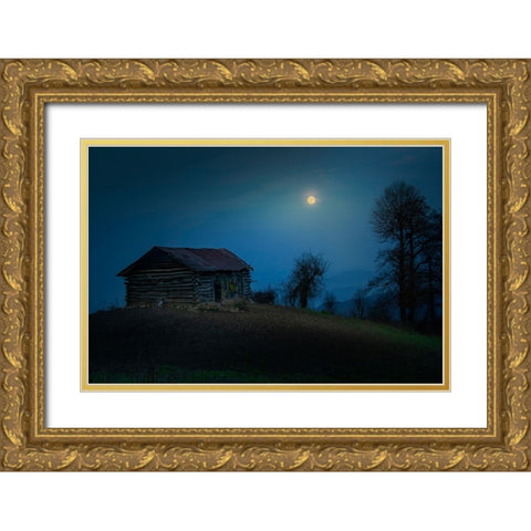 Moonlight Gold Ornate Wood Framed Art Print with Double Matting by Danial.F16
