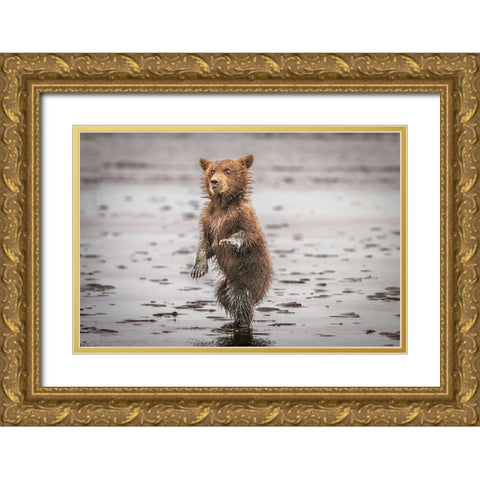 Qbustedq Gold Ornate Wood Framed Art Print with Double Matting by C. Sink, Jeffrey