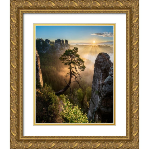The Third Most Famous Pine Of Saxony Switzerland Gold Ornate Wood Framed Art Print with Double Matting by Holic, Filip