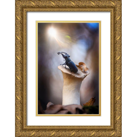 Towards Gold Ornate Wood Framed Art Print with Double Matting by Bykanova, Victoria