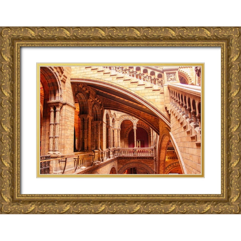 In Natural History Museum Gold Ornate Wood Framed Art Print with Double Matting by Kogan, Anna