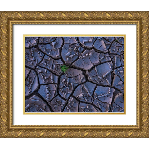 Cracking Beauty Gold Ornate Wood Framed Art Print with Double Matting by P., Ruiqing