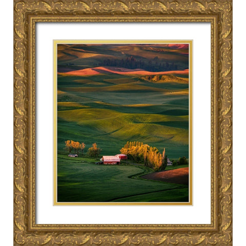 Wheat Field 3 Gold Ornate Wood Framed Art Print with Double Matting by Sheng, Alice
