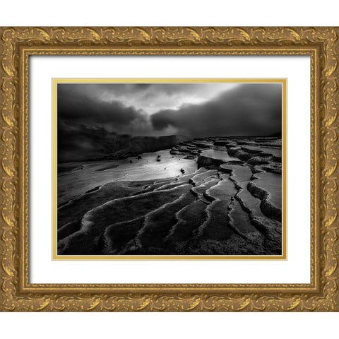 Lord Of Nature Gold Ornate Wood Framed Art Print with Double Matting by Arabzadeh, Abbas