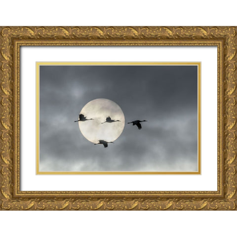 Flying High Gold Ornate Wood Framed Art Print with Double Matting by Fan, John