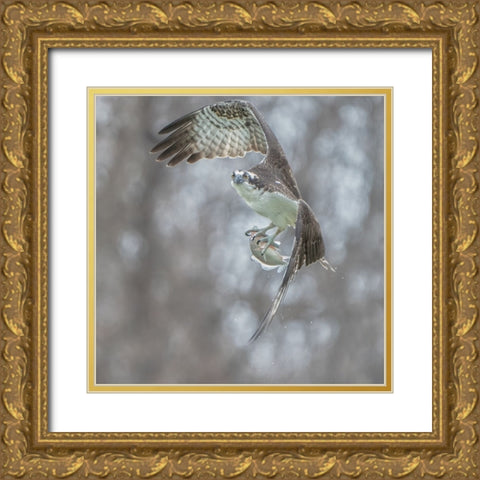 N/A Gold Ornate Wood Framed Art Print with Double Matting by Li, Alex