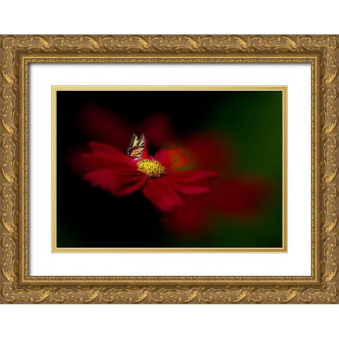 Butterfly Love Flower Gold Ornate Wood Framed Art Print with Double Matting by Ren, Yuzheng