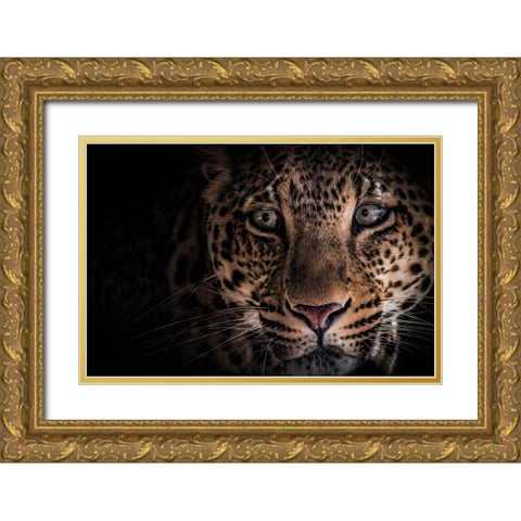 Hunter .. Gold Ornate Wood Framed Art Print with Double Matting by Zaeitar, Ahmed