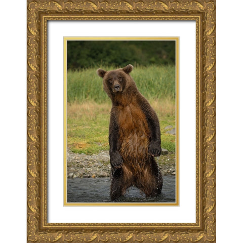Hey There Gold Ornate Wood Framed Art Print with Double Matting by Gill, Barbara