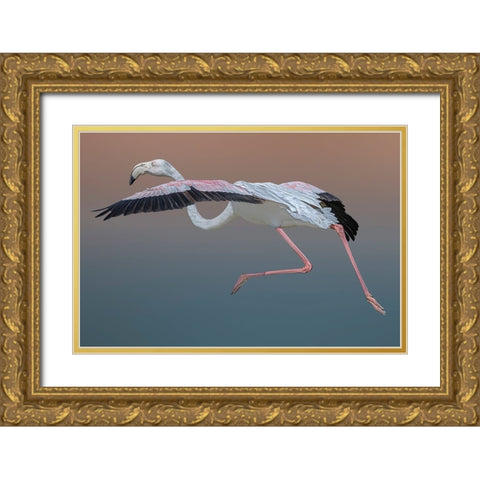 Flamingo Escape Gold Ornate Wood Framed Art Print with Double Matting by Eman Elghazzawy, Dr.