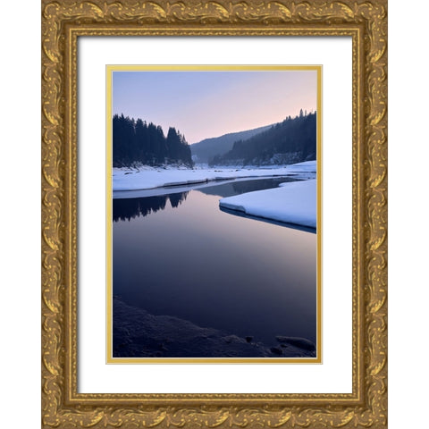 Elbe Reservoir Gold Ornate Wood Framed Art Print with Double Matting by Vukmanov, Adam