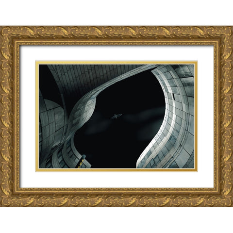 Open Space Gold Ornate Wood Framed Art Print with Double Matting by Ruckert, Stephan