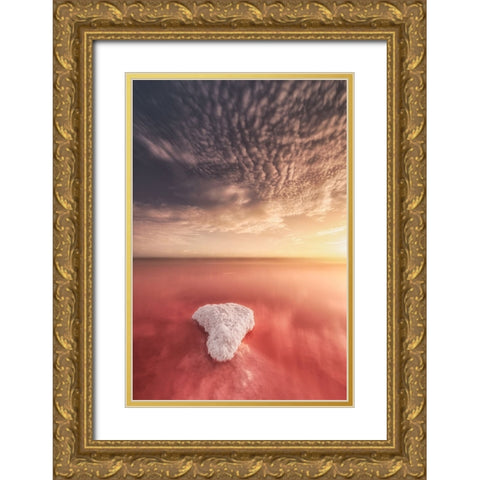 Salinas De Torrevieja-Spain Gold Ornate Wood Framed Art Print with Double Matting by Antonio Trivino, Jose
