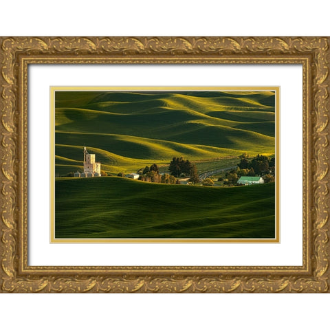 Palouse Wheat Fields Gold Ornate Wood Framed Art Print with Double Matting by Dickau, Kristel