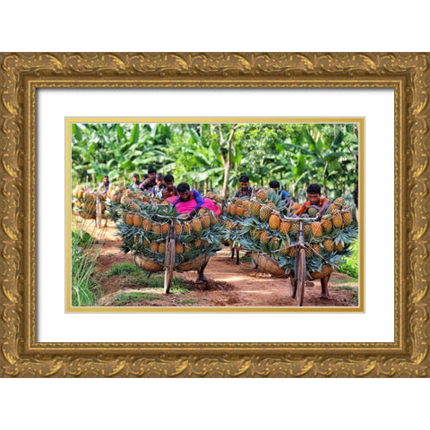 Ripe Pineapple Gold Ornate Wood Framed Art Print with Double Matting by Rahman Nasim, Mostafijur