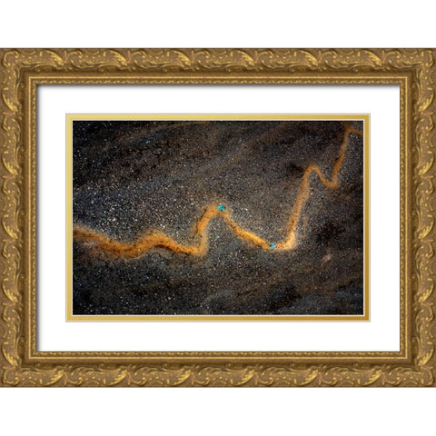 Stock Chart -- Aerial Abstract Of A Hiking Trail Gold Ornate Wood Framed Art Print with Double Matting by Bian, James