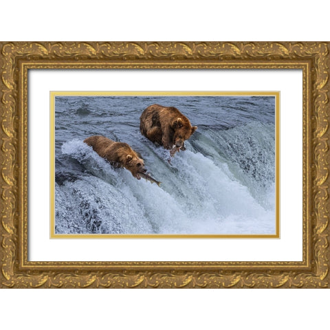 Who Will SurvIVe-Salmon Running Into BearS Mouth Gold Ornate Wood Framed Art Print with Double Matting by Pingwei Pan, Joy