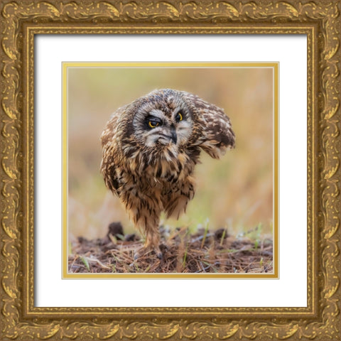 N/A Gold Ornate Wood Framed Art Print with Double Matting by Taksing