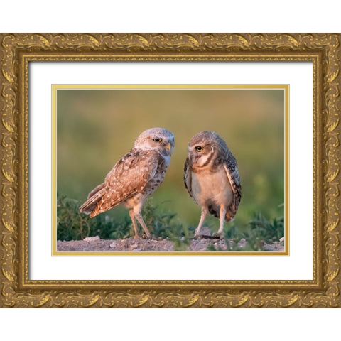 DaddyS Boy Gold Ornate Wood Framed Art Print with Double Matting by Chen, Ming