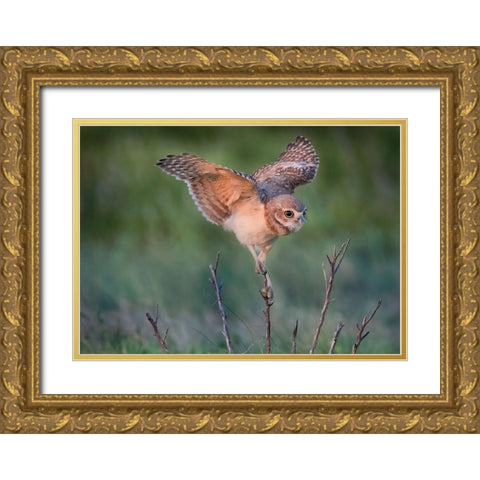 Ready To Hunt Gold Ornate Wood Framed Art Print with Double Matting by Chen, Ming