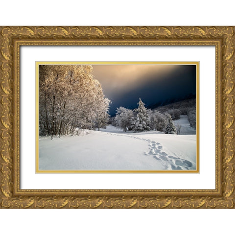Path Gold Ornate Wood Framed Art Print with Double Matting by Baudot, Christophe