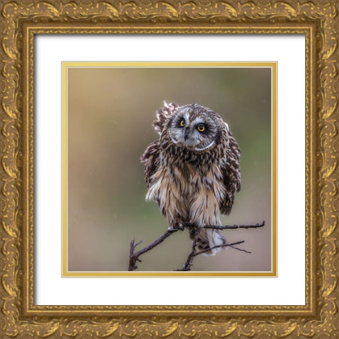 N/A Gold Ornate Wood Framed Art Print with Double Matting by Taksing