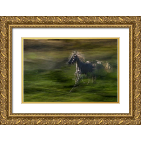 Galloping Gold Ornate Wood Framed Art Print with Double Matting by Malovrh, Milan
