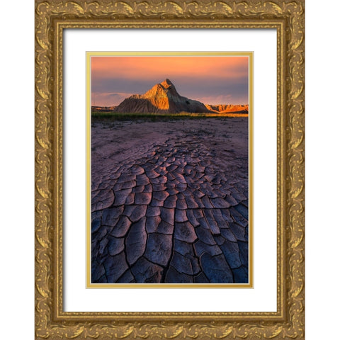 Cracking Beauty 2 Gold Ornate Wood Framed Art Print with Double Matting by P., Ruiqing
