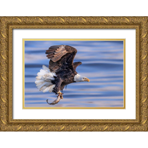 ItS My Dinner Gold Ornate Wood Framed Art Print with Double Matting by Zuo, Jun