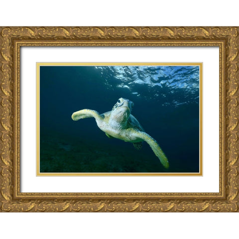 Airplane Gold Ornate Wood Framed Art Print with Double Matting by Melesan, Serge