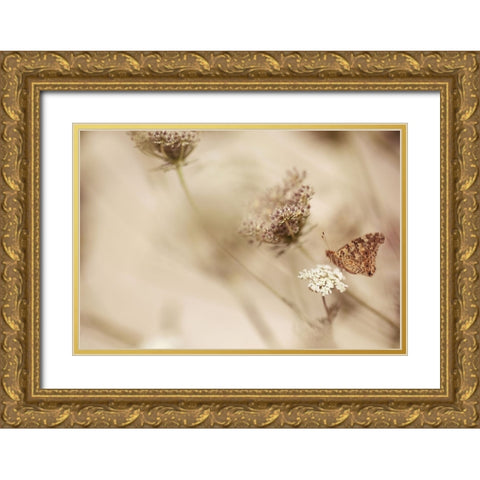 Butterfly Gold Ornate Wood Framed Art Print with Double Matting by van Deelen, Ellen