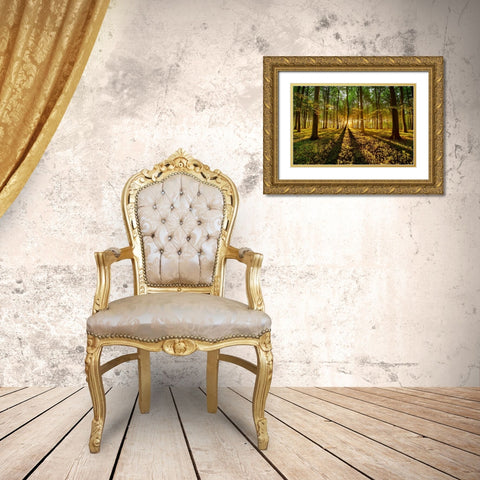 Forrest Light Gold Ornate Wood Framed Art Print with Double Matting by Keller