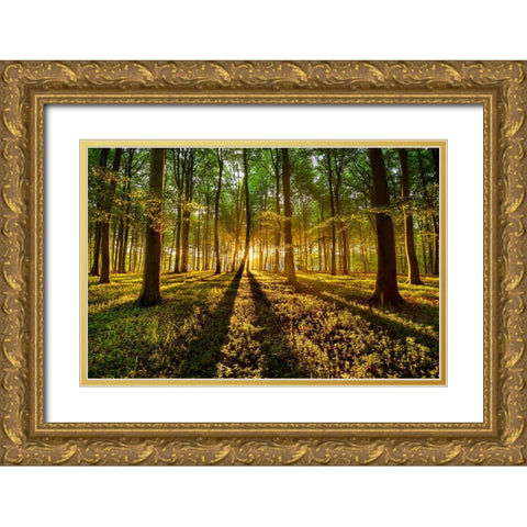 Forrest Light Gold Ornate Wood Framed Art Print with Double Matting by Keller