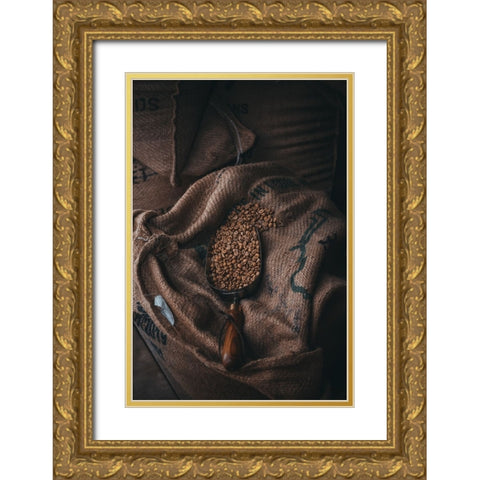Coffee Gold Ornate Wood Framed Art Print with Double Matting by Hamedani, Ardalan