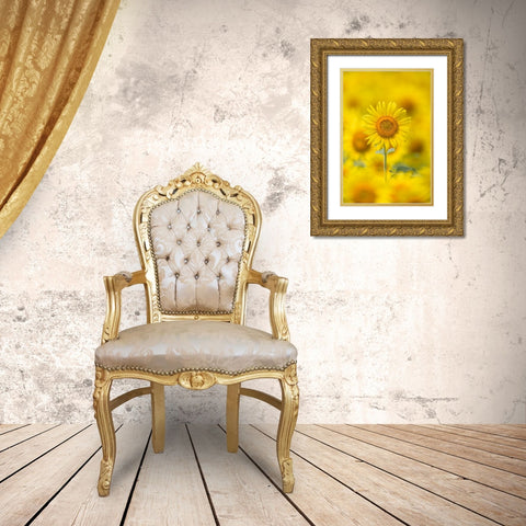 Yellow Sun Gold Ornate Wood Framed Art Print with Double Matting by Suzuki, Takashi