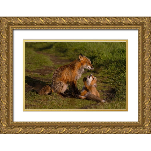 Mom Listen To Me Gold Ornate Wood Framed Art Print with Double Matting by Donnahom
