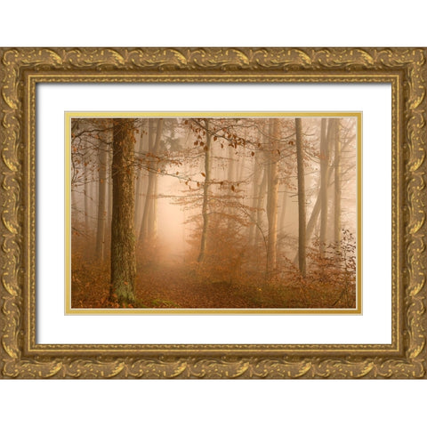 A year has gone Gold Ornate Wood Framed Art Print with Double Matting by Maier, Norbert
