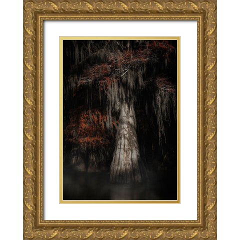 Cypress Tree Gold Ornate Wood Framed Art Print with Double Matting by Lu, Linda